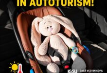 IGSU avertizează după o dublă tragedie în Franța: Nu lăsați niciodată copiii singuri în mașină! 5 Anatoly ne invită astăzi | MyTex.ro