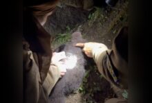 VIDEO. Ursoaică și doi pui, ridicați dintr-un cartier din Brașov după apeluri la 112. Șase exemplare ucise în ultimele săptămâni 3 | MyTex.ro