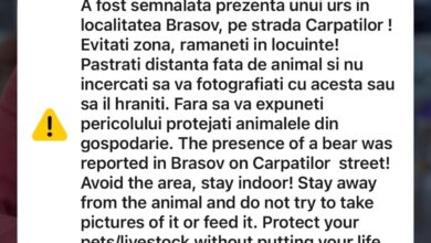 UPDATE: RO-ALERT pe Strada Carpaților din Brașov – „A fost o eroare a sistemului" 5 | MyTex.ro