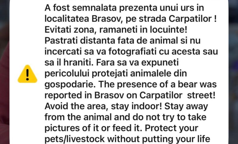 Carpaților | MyTex.ro