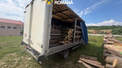 Poiana Brașov | MyTex.ro
