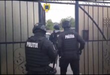 Șofer | MyTex.ro