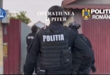 săcelean | MyTex.ro