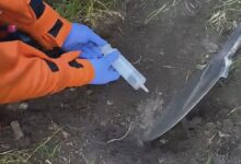 Brașov: Aproximativ un kilogram de mercur, descoperit pe o stradă din municipiu. A intervenit echipajul CBRN al ISU (VIDEO) 3 | MyTex.ro