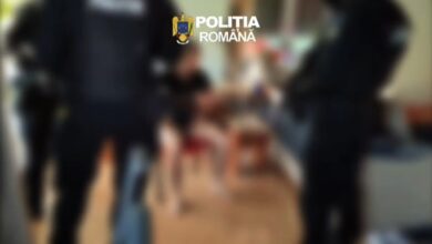 brașov | MyTex.ro
