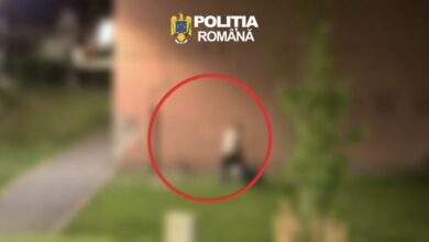 accident | MyTex.ro