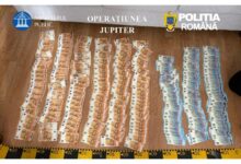Percheziții în Covasna într-un dosar de evaziune fiscală: 47 de autoturisme și sume importante de bani, indisponibilizate 3 Bărbat care a abuzat sexual | MyTex.ro