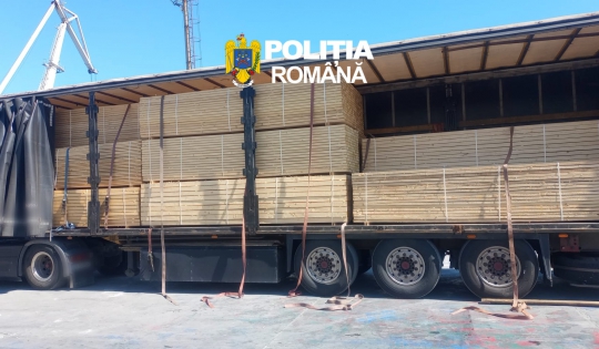 Transport ilegal de cherestea, pornit din Harghita, descoperit în Portul Constanța 3 Cherestea | MyTex.ro