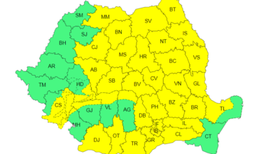 brașov | MyTex.ro
