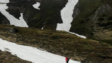 Salvamont Brașov: Căutările tânărului britanic dispărut în Bucegi continuă 7 Parc urban | MyTex.ro