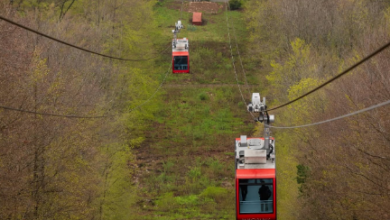 Brașov | MyTex.ro