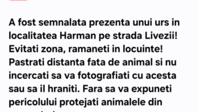Alertă Extremă