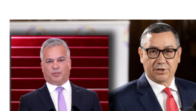 veștea | MyTex.ro