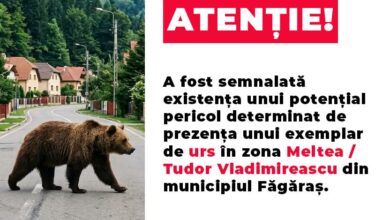 făgăraș | MyTex.ro