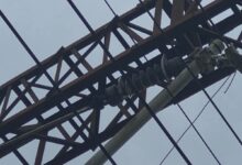 O pasăre a provocat blocaj în circulația feroviară din județul Brașov 20 brașov | MyTex.ro