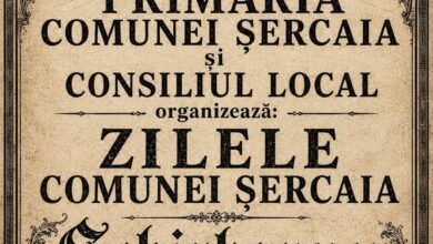 Brașov | MyTex.ro