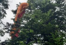 Intervenții Salvamont Brașov: o parapantistă a rămas blocată într-un copac, iar o turistă a suferit un atac de panică 3 | MyTex.ro