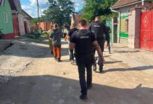 BRAȘOV. Dumbrăvița declară război abandonului de animale: „Toleranța s-a încheiat. Urmează controale și amenzi" 3 | MyTex.ro