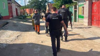 Dumbrăvița | MyTex.ro