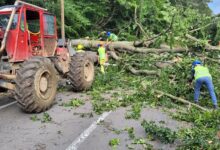 Restricții de trafic lângă Brașov: circulația va fi oprită temporar pe DN 13E pentru tăierea arborilor periculoși 8 | MyTex.ro