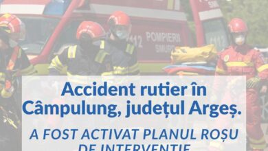 Planul Roșu activat după ce un microbuz a ieșit de pe carosabil, în Argeș! Intervine și un echipaj de la Brașov 7 | MyTex.ro