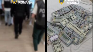 Înșelăciuni | MyTex.ro