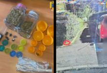 VIDEO. Dealer de droguri din Brașov, arestat! Vindea canabis și cocaină prin „dead-drop”, cu plata în criptomonede 7 germania | MyTex.ro