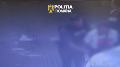 Urmărit | MyTex.ro
