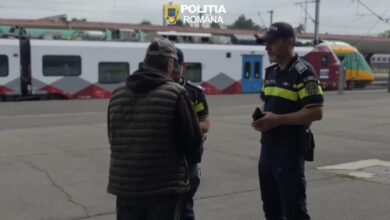 Urmărit | MyTex.ro