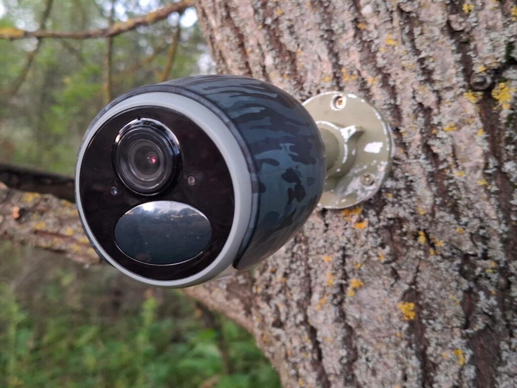 Cuşcă pentru capturarea urşilor | MyTex.ro