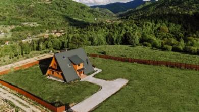 Braşov | MyTex.ro