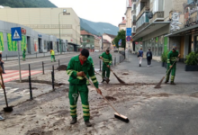 Brașov | MyTex.ro