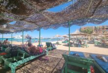 A meritat să meargă la 3 stele în Egipt? Experiența unui turist român care a dărâmat un mit din Hurghada 5 Animawings | MyTex.ro