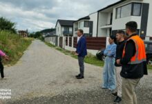 Urmărit | MyTex.ro