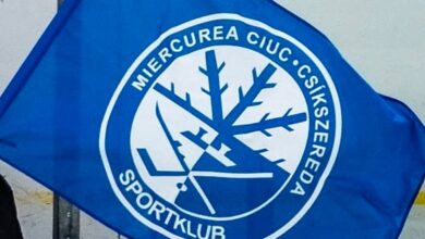 Mai mulţi hocheişti