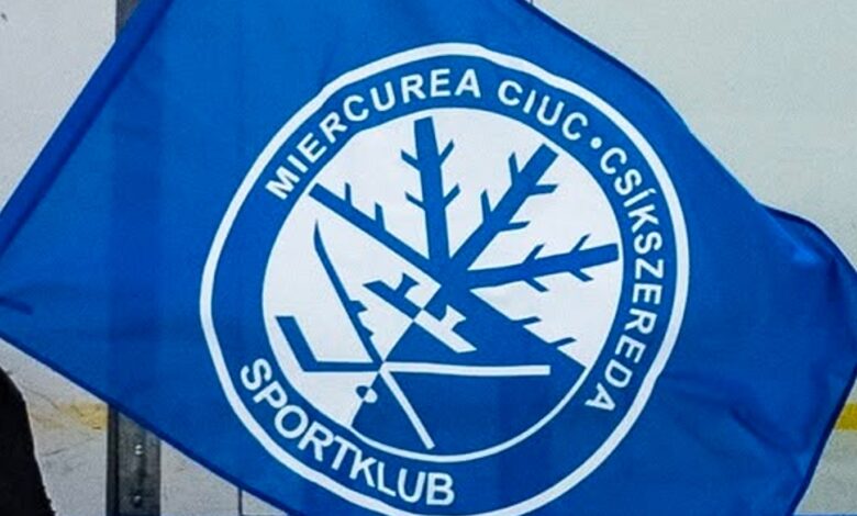 Mai mulţi hocheişti