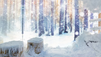 Lux la temperaturi negative: Ultra-bogații își instalează „camere cu zăpadă” pe iahturi pentru a scăpa de caniculă 7 ansvsa | MyTex.ro