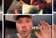 | MyTex.ro