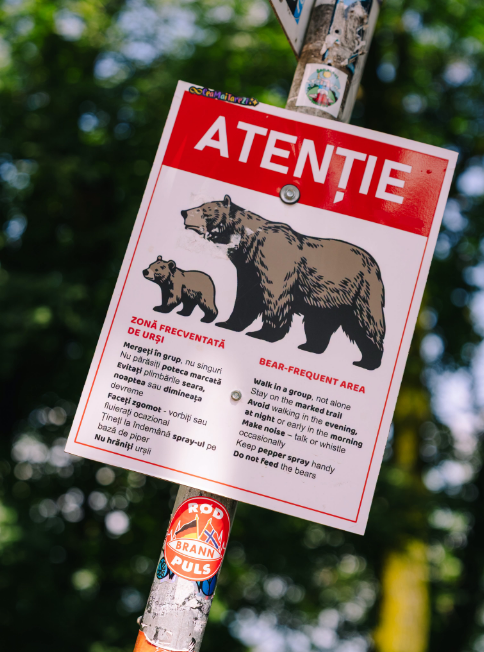 Lecție de civilizație norvegiană și reclamă gratuită pentru Brașov: Cum s-au simțit fotbaliștii de la Brann Bergen sub Tâmpa înainte de meciul cu Universitatea Cluj 7 Braşov | MyTex.ro