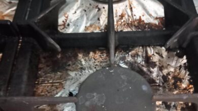 Peste 1 milion de lei în amenzi, pe litoral. ANPC a găsit alimente expirate, piscine neigienizate și prețuri neafișate 5 | MyTex.ro