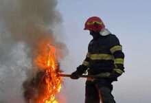 (FOTO) Incendiu în miez de noapte la un grajd din județul Covasna. Pompierii au salvat un cal și 80 de porumbei 3 | MyTex.ro