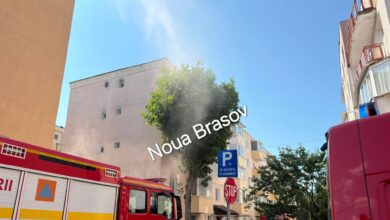 Incendiu | MyTex.ro