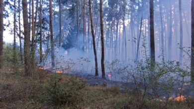 Incendii | MyTex.ro