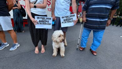 Protest | MyTex.ro