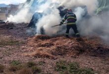 BRAȘOV. Incendiu de vegetație lângă DN 73, în zona Cetatea Craiului 3 | MyTex.ro