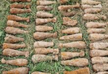 Peste 80 de bombe de aruncător din Al Doilea Război Mondial, descoperite la marginea unei păduri din Harghita 22 Covasna | MyTex.ro