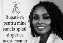 | MyTex.ro