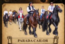 BRAȘOV | Zilele Orașului Râșnov și Festivalul Național Ecvestru 2026: parada cu cai și trăsuri deschide cele trei zile de sărbătoare 16 Festivalul Musica Barcensis continuă în august | MyTex.ro