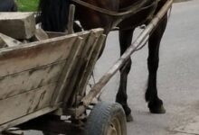 BRAȘOV | Polițist local din Codlea, călcat pe picior de o căruță, în timp ce încerca să oprească un furt 5 Brașov | MyTex.ro