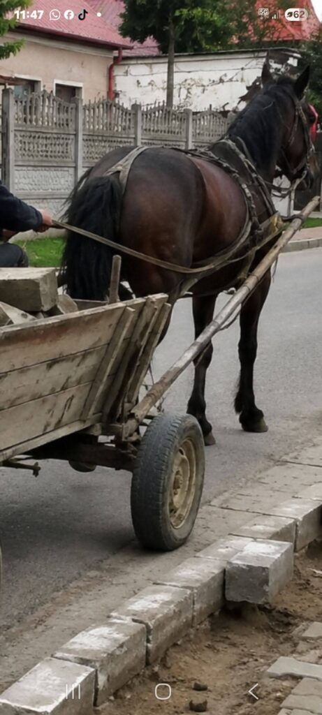 Polițist local călcat în timpul unui furt cu căruță la Codlea